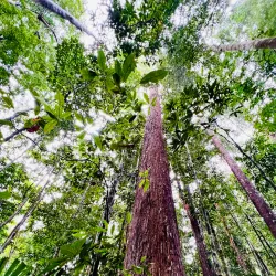 Pantu Waterfall - Simanggang (Sri Aman)