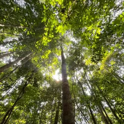 Pantu Waterfall - Simanggang (Sri Aman)