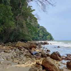 Bukit Batu Putih Recreational Forest - Sitiawan