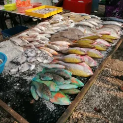 Pantai Remis Beach - Sitiawan