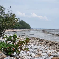 Pantai Remis Beach - Sitiawan