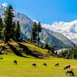 Skudai Community Mosque - Skudai (Sekudai)