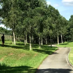 Skudai Golf Club - Skudai (Sekudai)