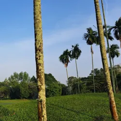 Skudai Golf Club - Skudai (Sekudai)