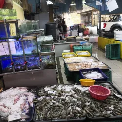 Skudai Wet Market - Skudai (Sekudai)