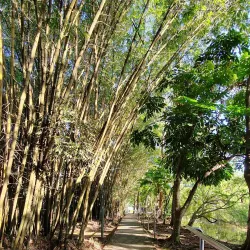 Taman Rekreasi Skudai - Skudai (Sekudai)