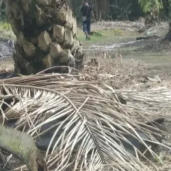 Taman Ungku Tun Aminah - Skudai (Sekudai)