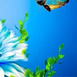 Taman Ungku Tun Aminah - Skudai (Sekudai)