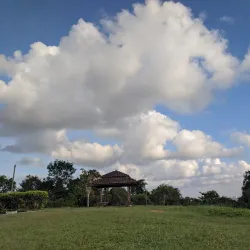 Universiti Teknologi Malaysia (UTM) - Skudai (Sekudai)