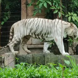 Sunway Lagoon Theme Park - Subang Jaya