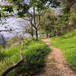 Sungai Buloh Community Forest Reserve - Sungai Buloh
