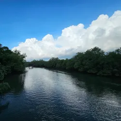 Sungai Buloh River Walk - Sungai Buloh