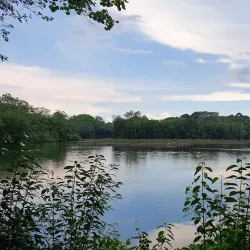 Sungai Buloh River Walk - Sungai Buloh