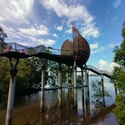 Sungai Buloh Wetlands Park - Sungai Buloh