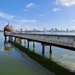 Sungai Buloh Wetlands Park - Sungai Buloh