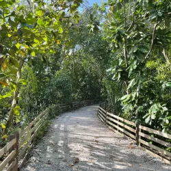 Sungai Buloh Wetlands Park - Sungai Buloh