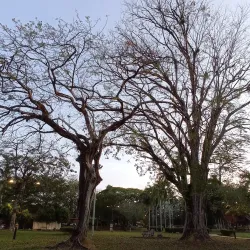 Taman Jubli Perak - Sungai Petani