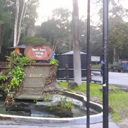 Bukit Larut (Maxwell Hill) - Taiping