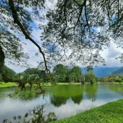 Taiping Lake Gardens - Taiping