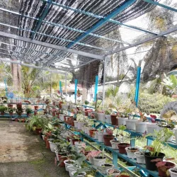 Teriang Botanical Garden - Teriang