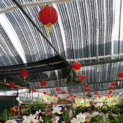 Teriang Botanical Garden - Teriang