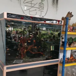 Teriang Botanical Garden - Teriang