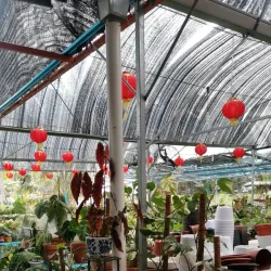 Teriang Botanical Garden - Teriang