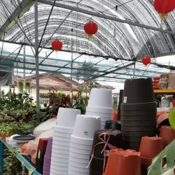 Teriang Botanical Garden - Teriang