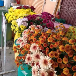 Teriang Nature Trail - Teriang