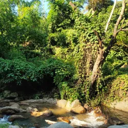 Teriang River Park - Teriang