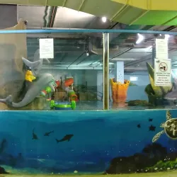 Tiram Indoor Water Park - Ulu Tiram