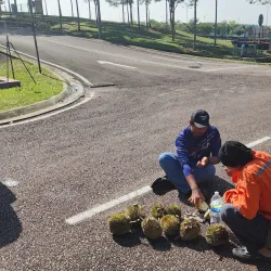 Ulu Tiram Community Cultural Center - Ulu Tiram