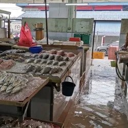 Ulu Tiram Night Market - Ulu Tiram