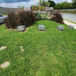 Ulu Tiram Recreational Forest - Ulu Tiram