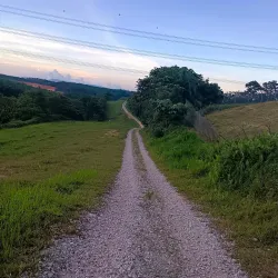 Ulu Tiram Recreational Forest - Ulu Tiram