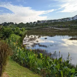 Ulu Tiram Recreational Forest - Ulu Tiram