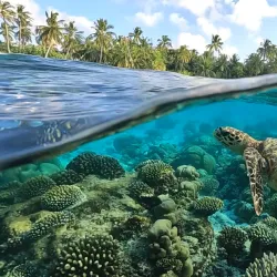 Coral Reefs of Filitheyo - Filitheyo