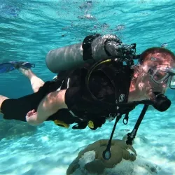 Marine Life Watching - Filitheyo