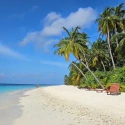 Snorkeling and Diving Spots - Filitheyo