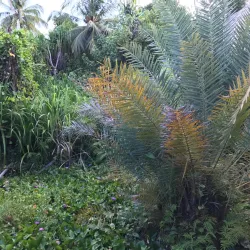 Bandaara Kilhi - Fuvahmulah