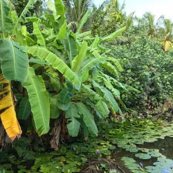 Bandaara Kilhi - Fuvahmulah