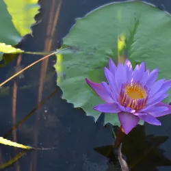 Bandaara Kilhi - Fuvahmulah