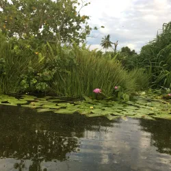 Bandaara Kilhi - Fuvahmulah