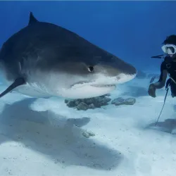 Fuvahmulah Cultural Center - Fuvahmulah