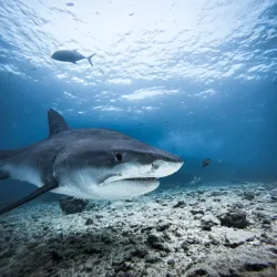 Fuvahmulah Cultural Center - Fuvahmulah