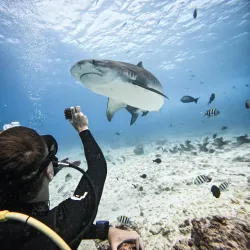 Fuvahmulah Cultural Center - Fuvahmulah