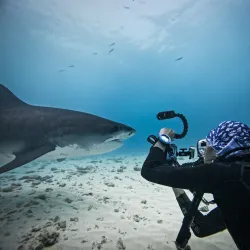 Fuvahmulah Cultural Center - Fuvahmulah