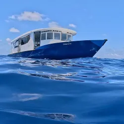 Fuvahmulah Diving Spots - Fuvahmulah
