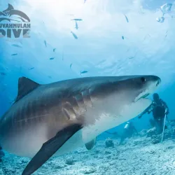 Fuvahmulah Diving Spots - Fuvahmulah