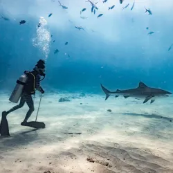 Fuvahmulah Diving Spots - Fuvahmulah